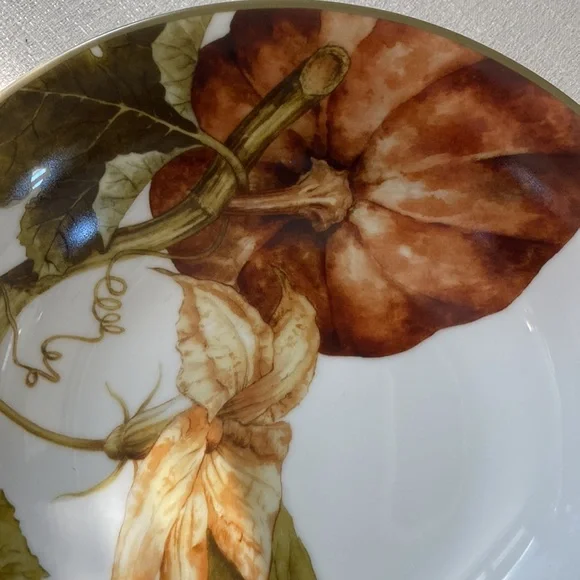 Sonoma Williams Botanical Pumpkin coupe soup bowl 8.75” x 2” deep - Picture 3 of 8